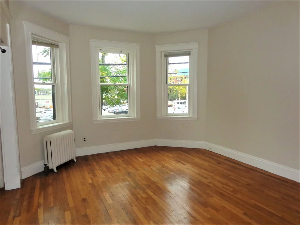 Studio bed, 1 bath apartment for rent at 313 Allston St Unit 2, Brighton — photo 3 of 12