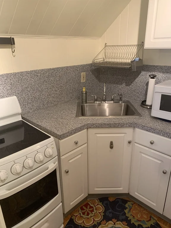 1 bed, 1 bath apartment for rent at 315 Alewife Brook Pkwa Unit 3, West Somerville — photo 16 of 17