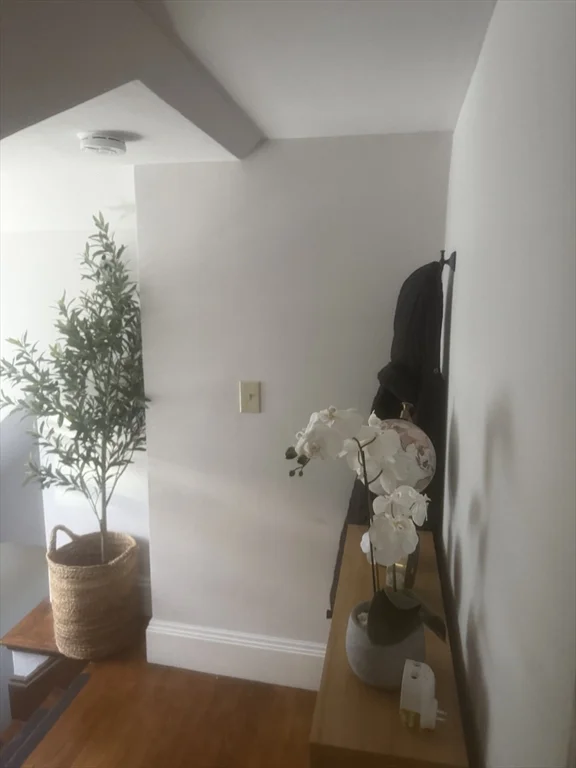1 bed, 1 bath apartment for rent at 315 Common St Unit 3, Watertown — photo 6 of 8
