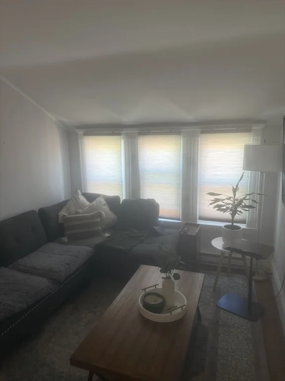 1 bed, 1 bath apartment for rent at 315 Common St Unit 3, Watertown — photo 2 of 8