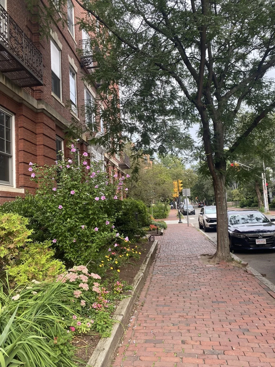 2.5 bed, 1 bath apartment for rent at 315 Harvard St Unit 1, Mid Cambridge — photo 9 of 10