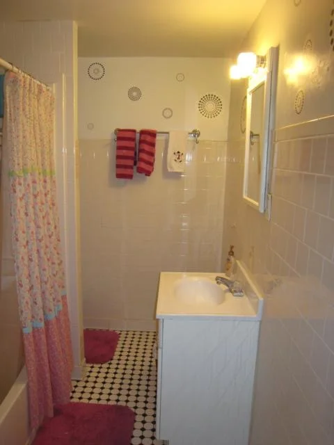 4 bed, 1 bath apartment for rent at 316 Saint Paul Unit 3, Coolidge Corner — photo 4 of 12