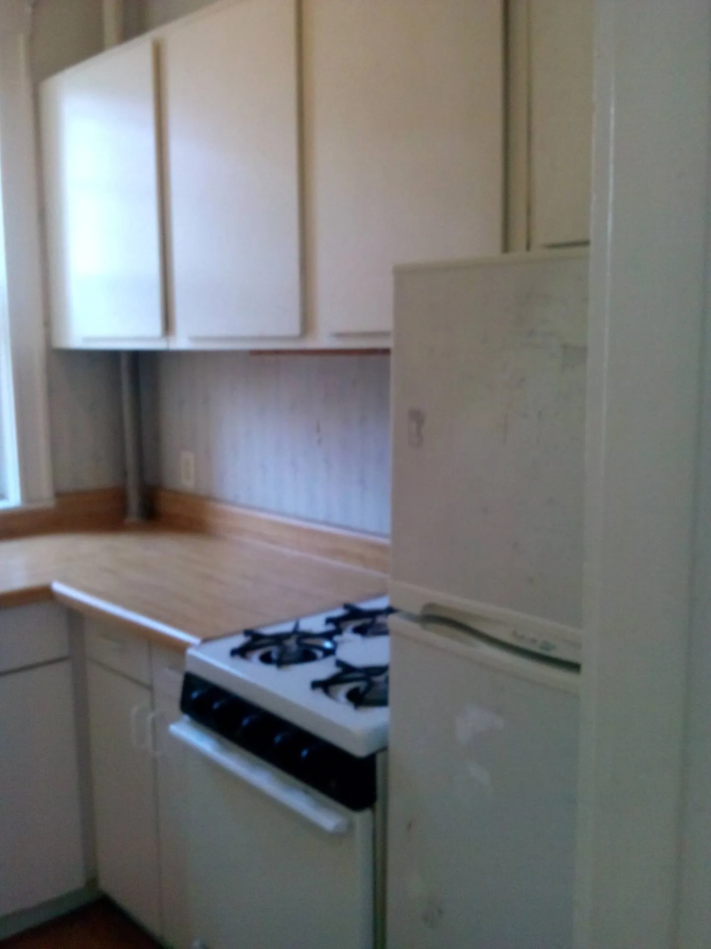 Studio bed, 1 bath apartment for rent at 317 Allston St Unit 15, Brighton — photo 3 of 17