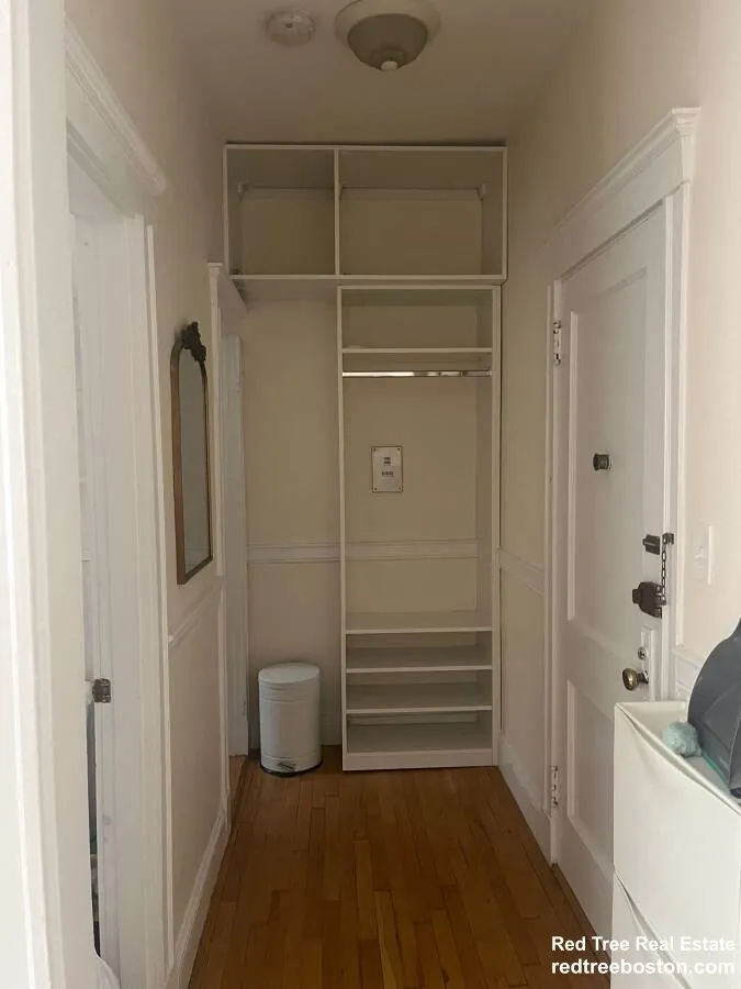 Studio bed, 1 bath apartment for rent at 319 Allston St Unit 3, Brighton — photo 10 of 15