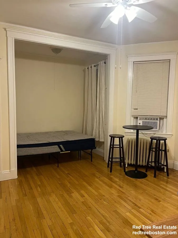 Studio bed, 1 bath apartment for rent at 319 Allston St Unit 3, Brighton — photo 11 of 15