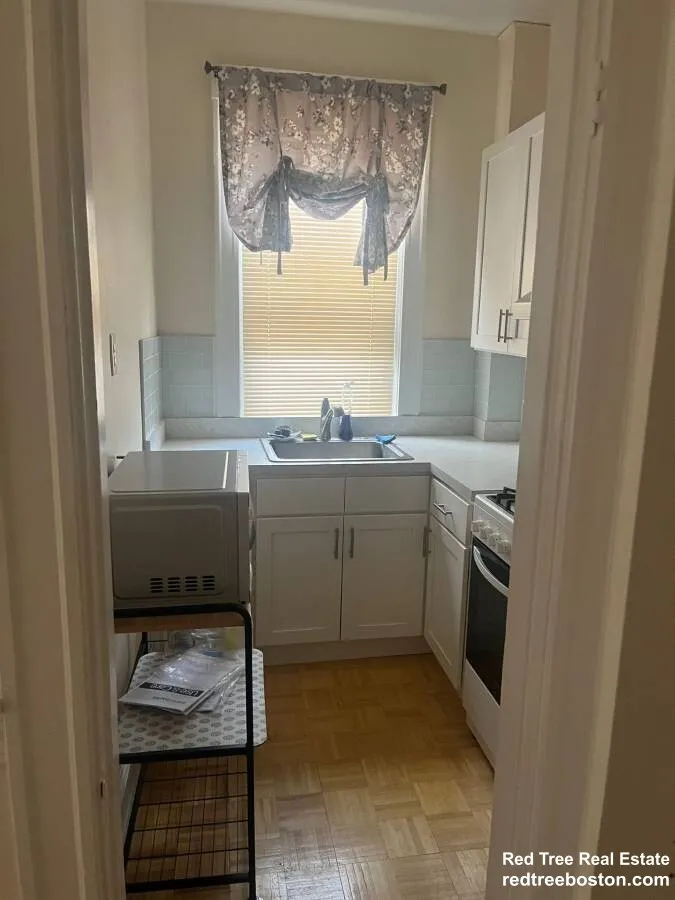 Studio bed, 1 bath apartment for rent at 319 Allston St Unit 3, Brighton — photo 5 of 15