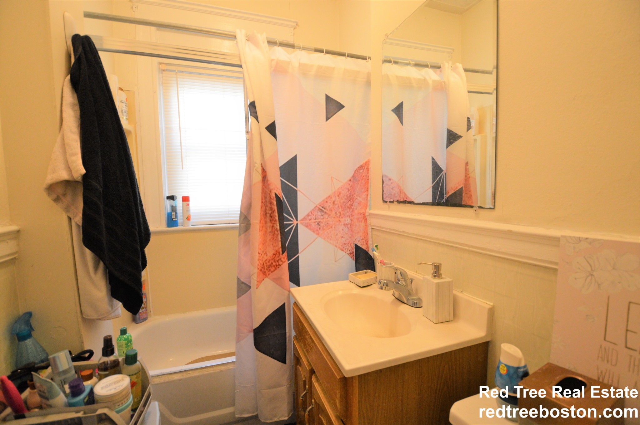 1 bed, 1 bath apartment for rent at 319 Allston St Unit 4, Brighton — photo 9 of 13