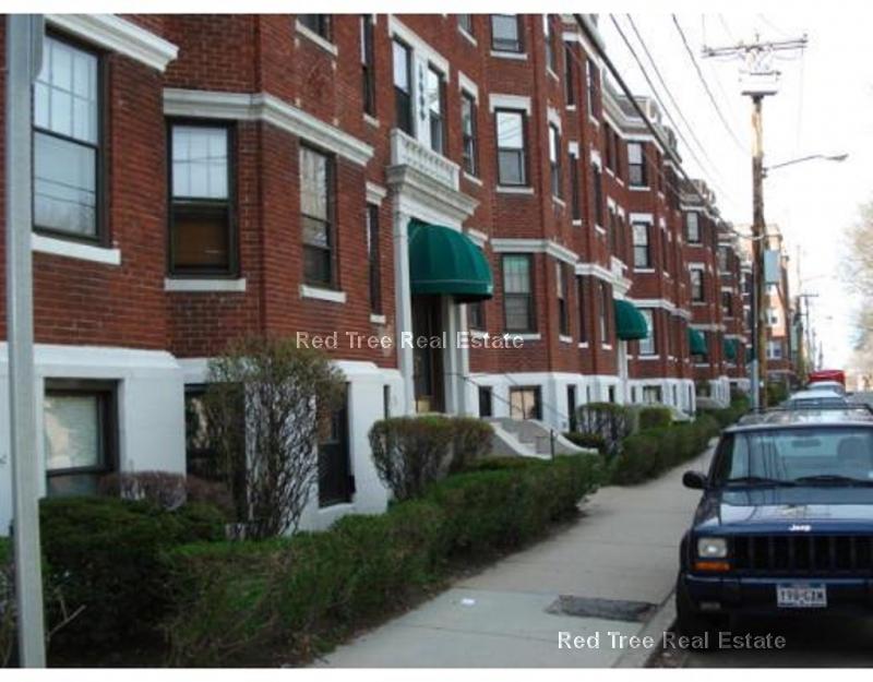 1 bed, 1 bath apartment for rent at 319 Allston St Unit 4, Brighton — photo 12 of 13