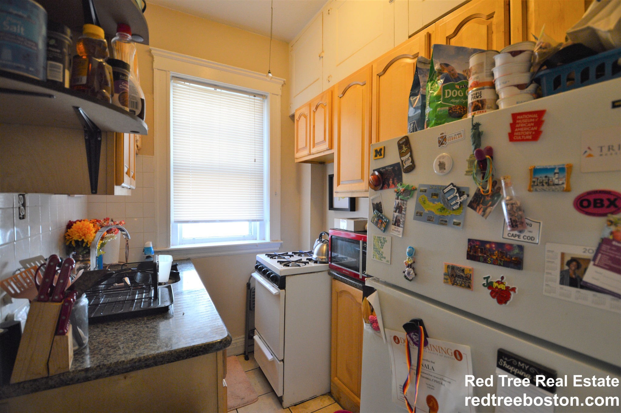 1 bed, 1 bath apartment for rent at 319 Allston St Unit 4, Brighton — photo 4 of 13