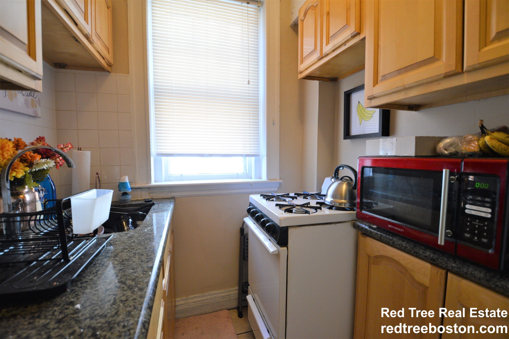 1 bed, 1 bath apartment for rent at 319 Allston St Unit 4, Brighton — photo 5 of 13