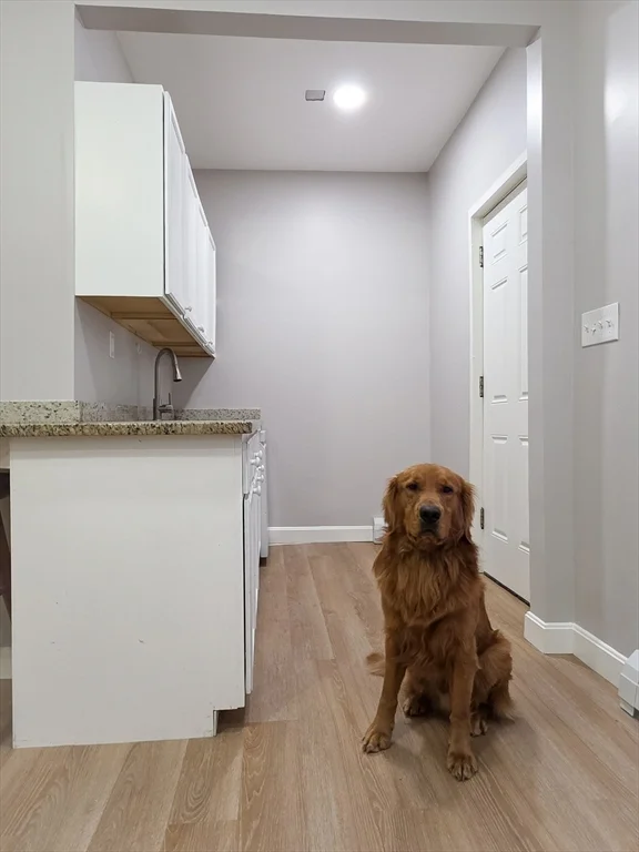 2 bed, 1 bath apartment for rent at 32 Bellevue St Unit A, Lowell — photo 10 of 18