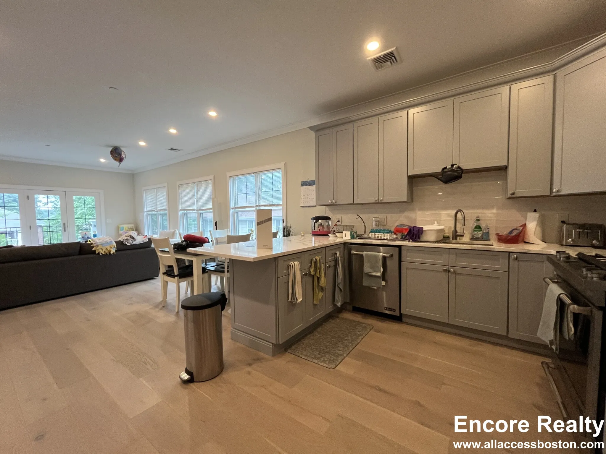 2 bed, 2 bath apartment for rent at 32 Cummins Highway Unit 4, Roslindale — photo 3 of 42