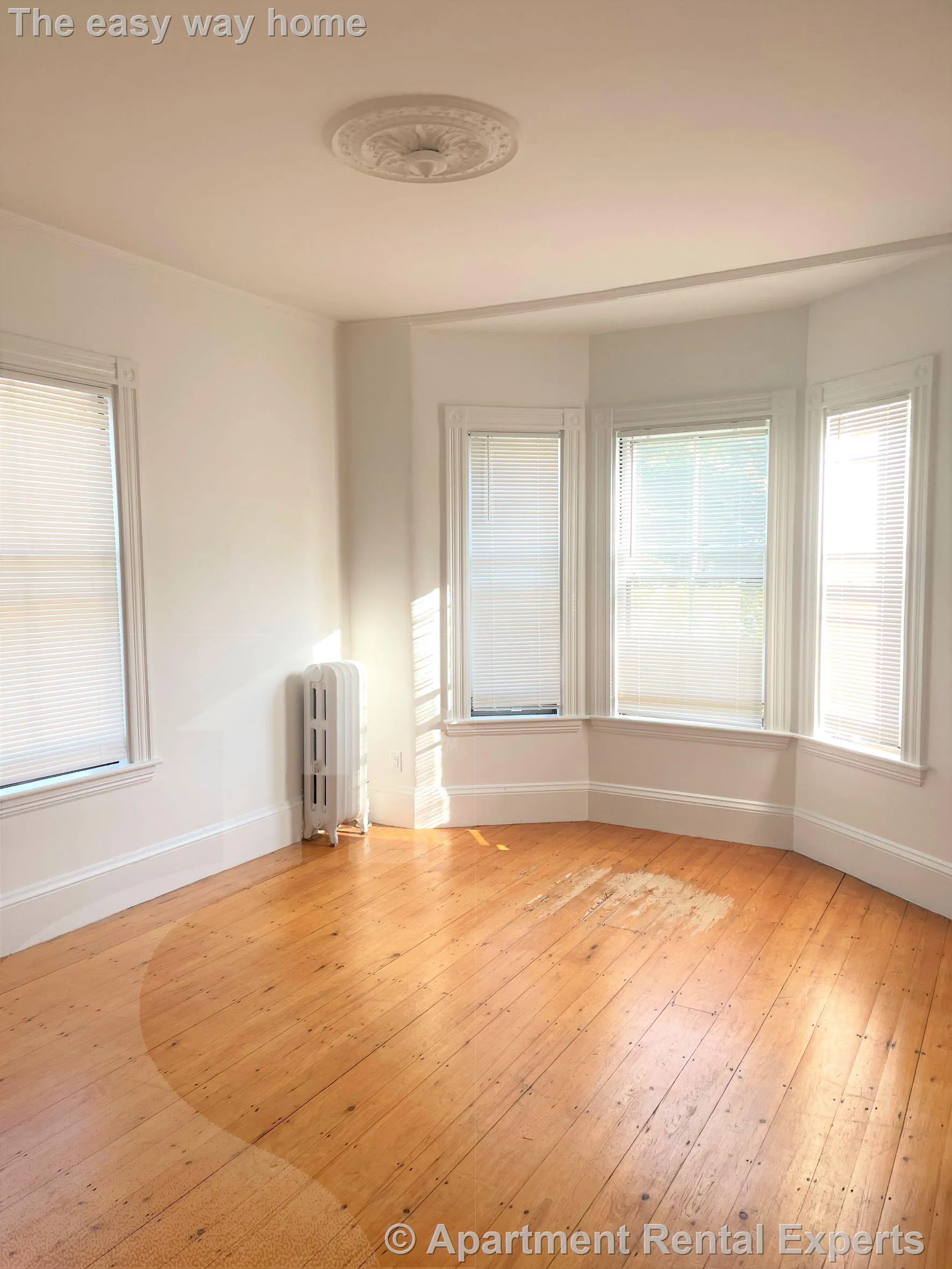2 bed, 1 bath apartment for rent at 32 Healey St, Harvard Square — photo 13 of 23