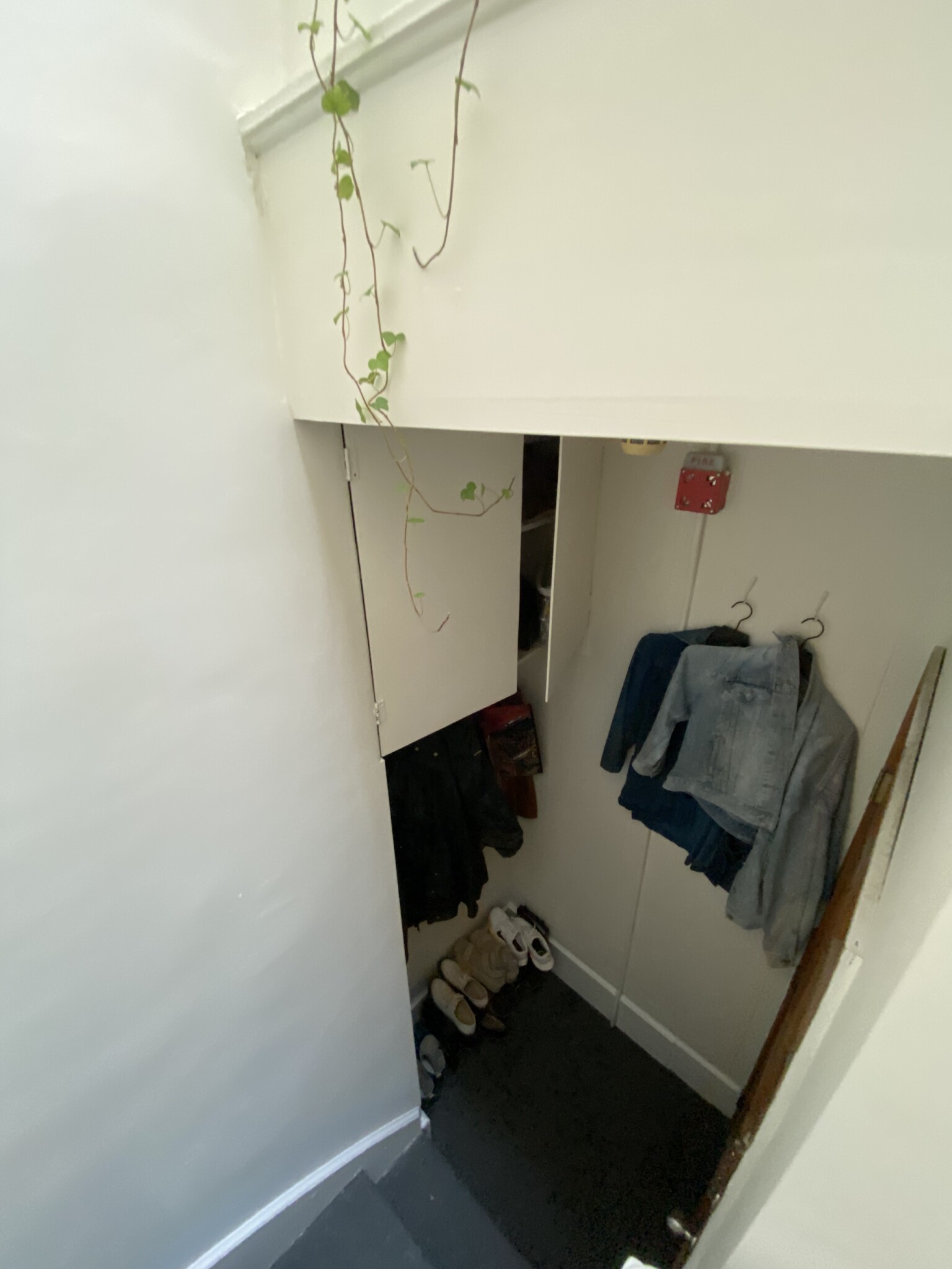 Studio bed, 1 bath apartment for rent at 32 Irving St Unit 4, Beacon Hill — photo 11 of 17