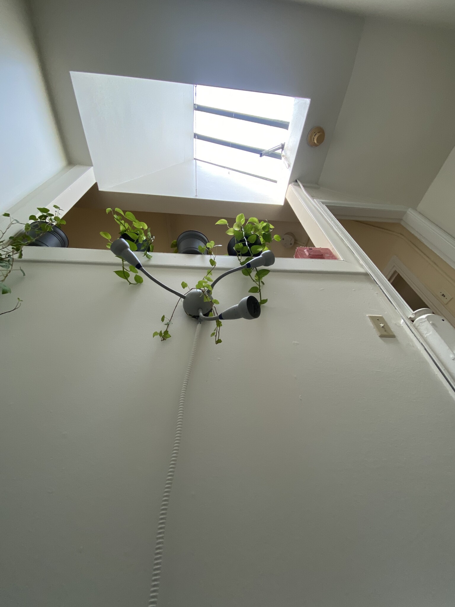 Studio bed, 1 bath apartment for rent at 32 Irving St Unit 4, Beacon Hill — photo 12 of 17