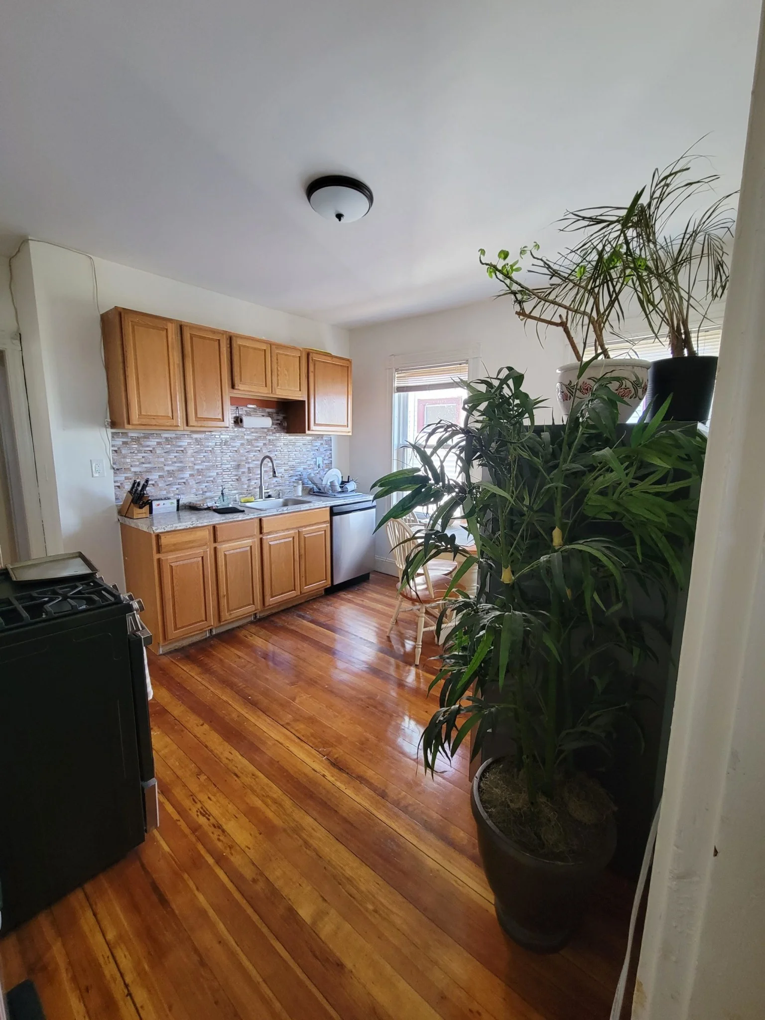 3 bed, 1 bath apartment for rent at 32 Juliette St Unit 2, Dorchester
