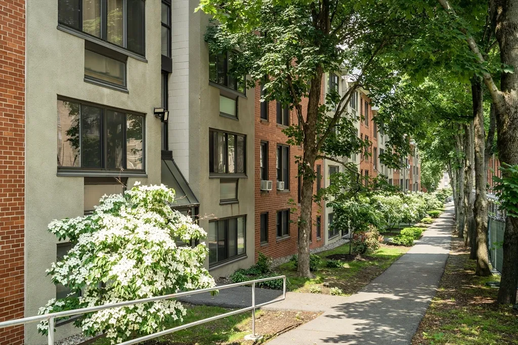 2 bed, 1 bath apartment for rent at 32 Juniper St Unit 91, Brookline Village — photo 16 of 17