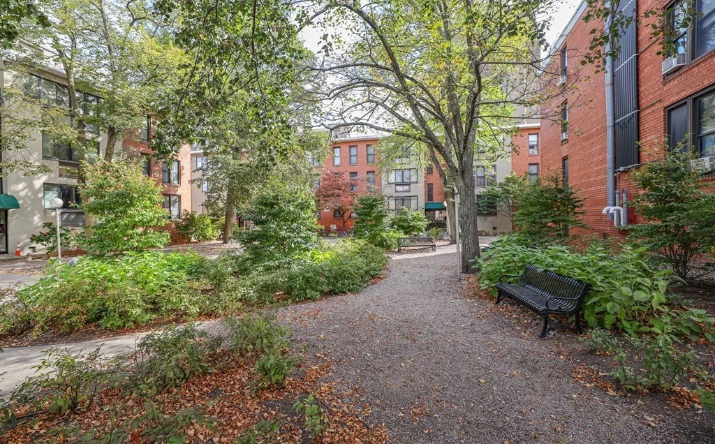 2 bed, 1 bath apartment for rent at 32 Juniper St Unit 96, Brookline — photo 19 of 22