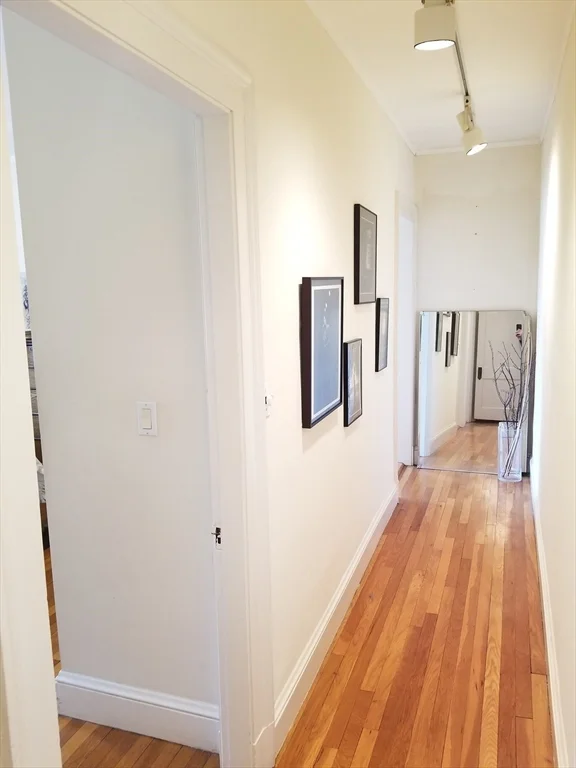 2 bed, 1 bath apartment for rent at 32 Shepard St Unit 44, Neighborhood Nine — photo 6 of 13