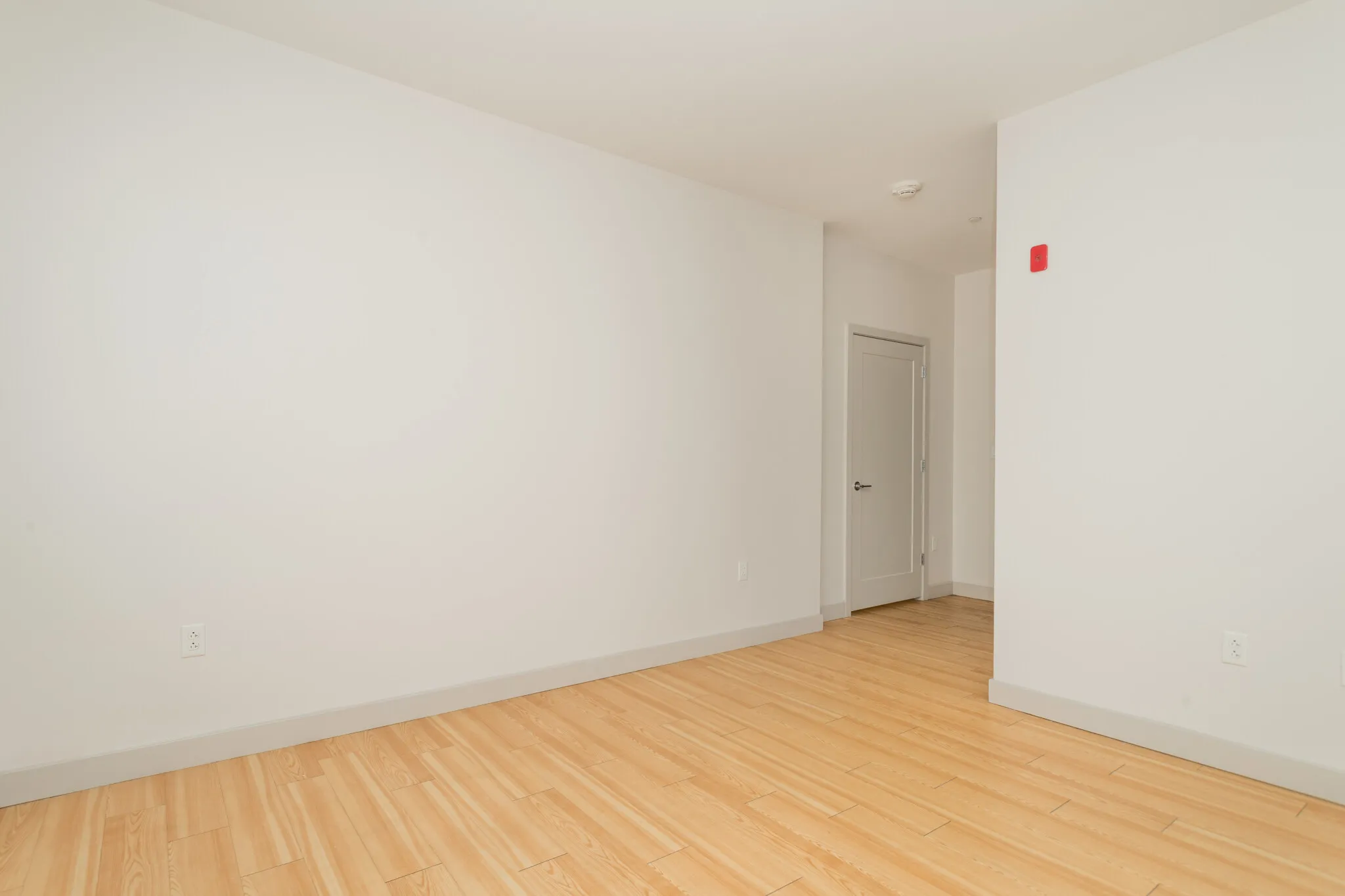 1 bed, 1 bath apartment for rent at 320 D St Unit 305, South Boston — photo 6 of 16