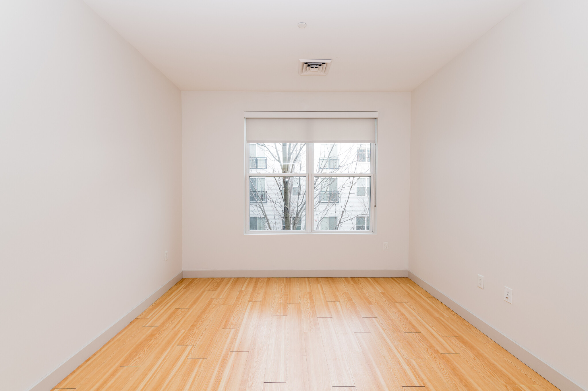 2 bed, 2 bath apartment for rent at 320 D St Unit 439, South Boston — photo 5 of 22