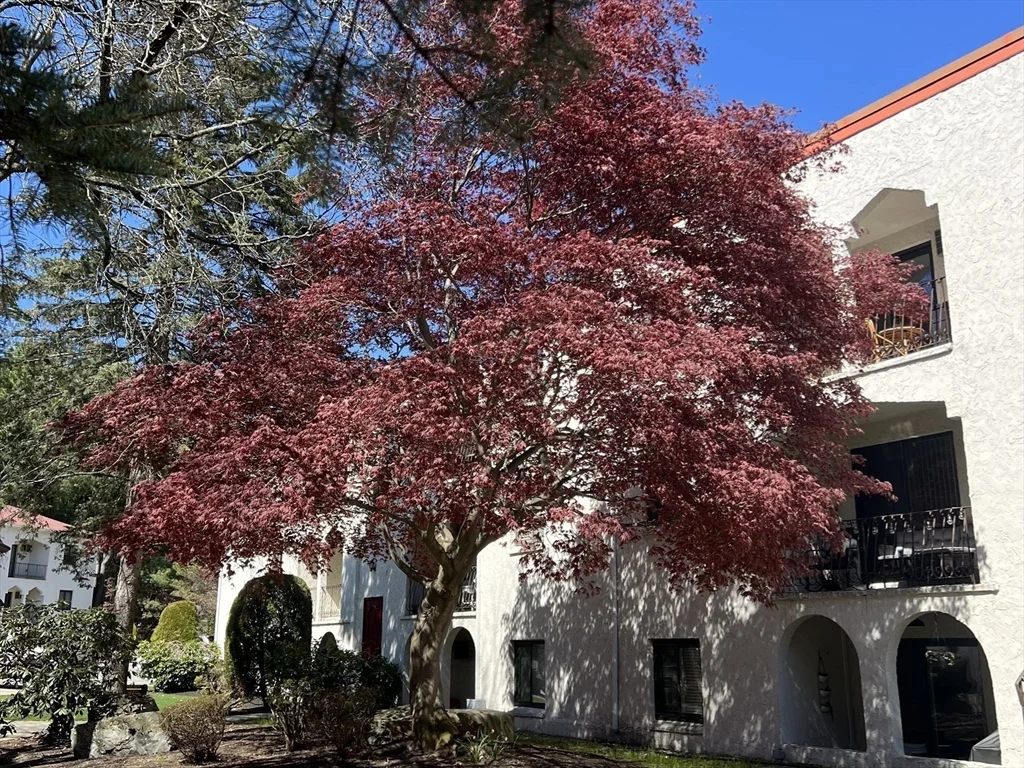 2 bed, 1 bath apartment for rent at 320 Fellsview Ter Unit 326 C, Stoneham — photo 13 of 19