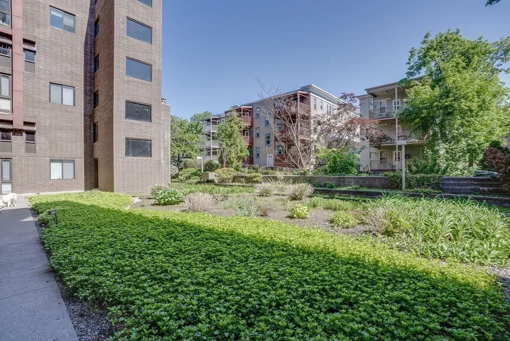 2 bed, 1 bath apartment for rent at 321 Harvard St Unit 210, Cambridge — photo 16 of 18