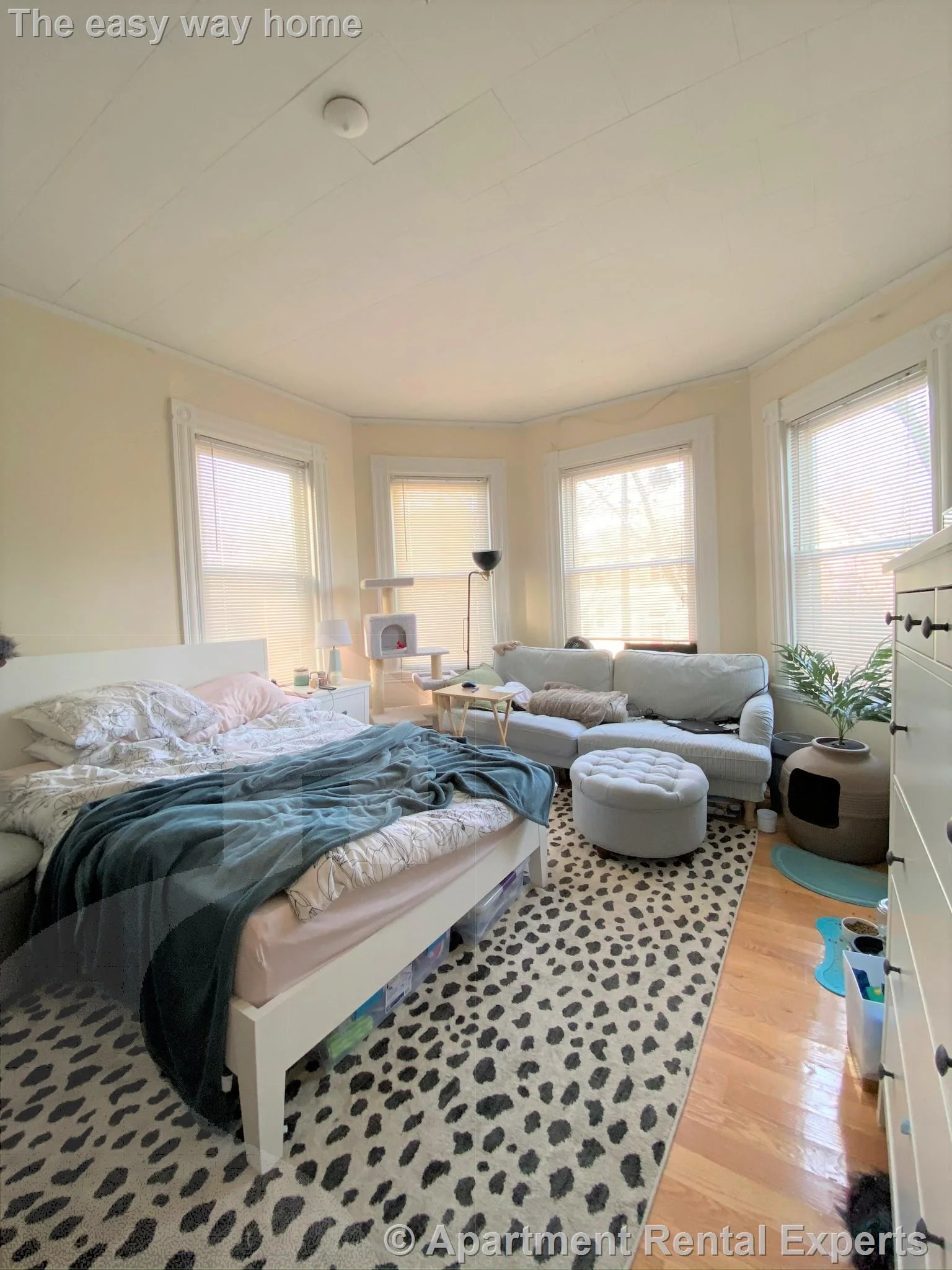 3 bed, 1 bath apartment for rent at 322 Western Ave Unit 2, Central Square — photo 3 of 13