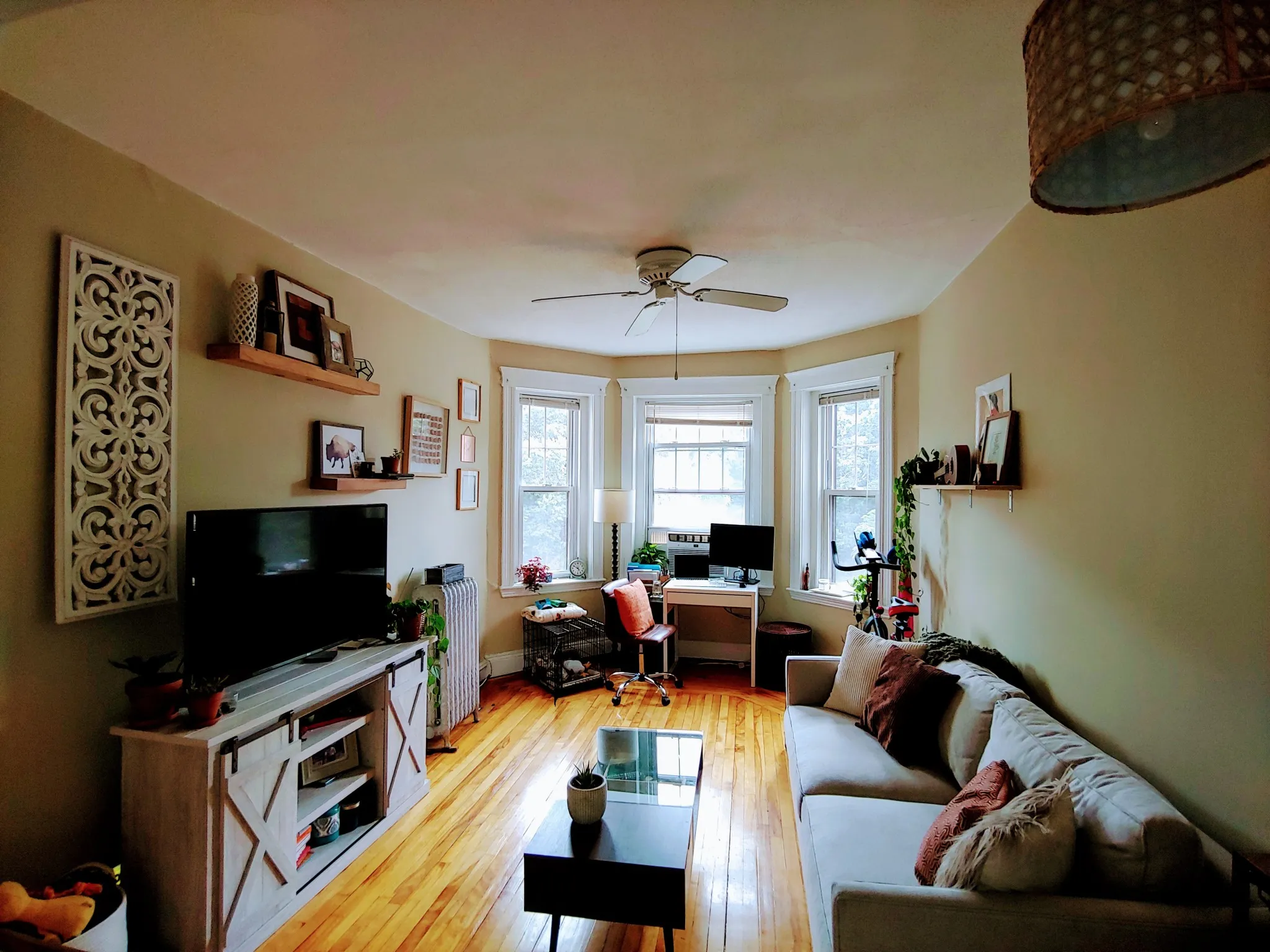 1 bed, 1 bath apartment for rent at 324 Chestnut Hill Ave Unit 12A, Brighton — photo 3 of 9