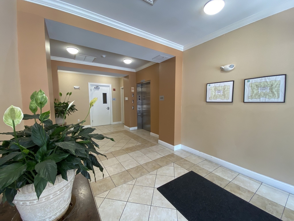 2 bed, 1 bath apartment for rent at 327 Centre St Unit 305, Jamaica Plain — photo 20 of 21