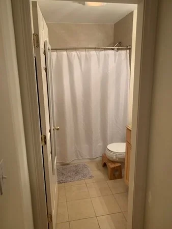 2 bed, 2 bath apartment for rent at 328 Sumner St Unit 2, East Boston — photo 8 of 15