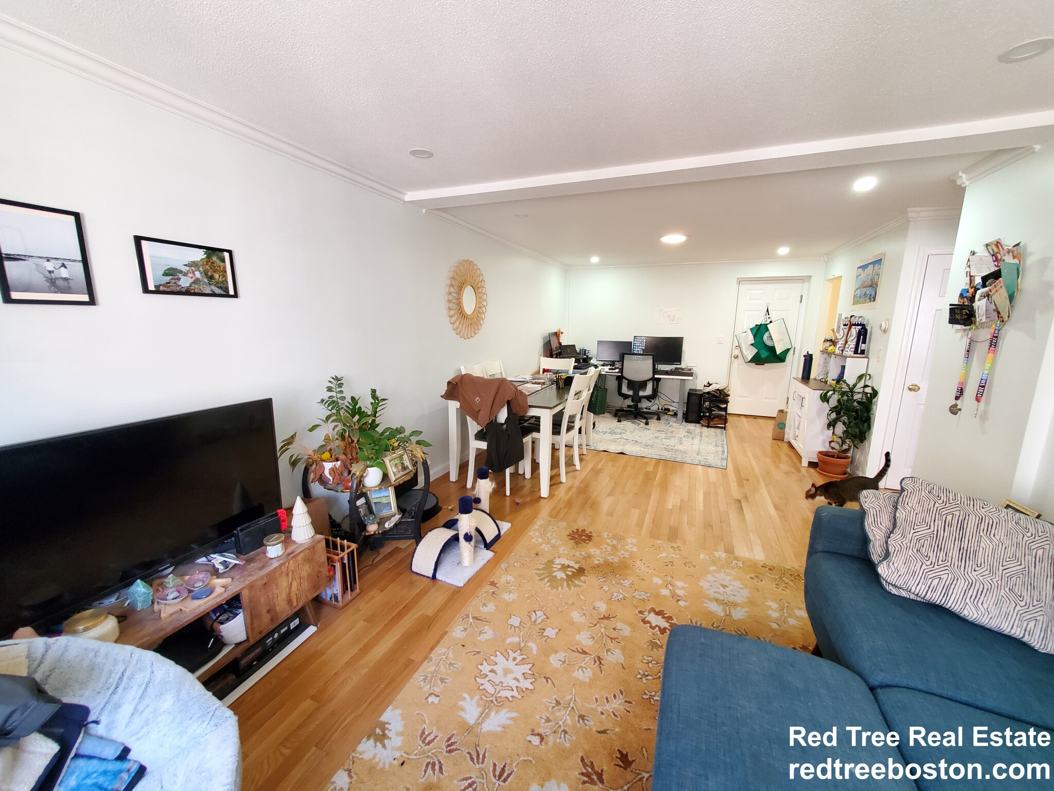 1 bed, 1 bath apartment for rent at 329 Harvard St Unit 27, Mid-Cambridge — photo 5 of 13