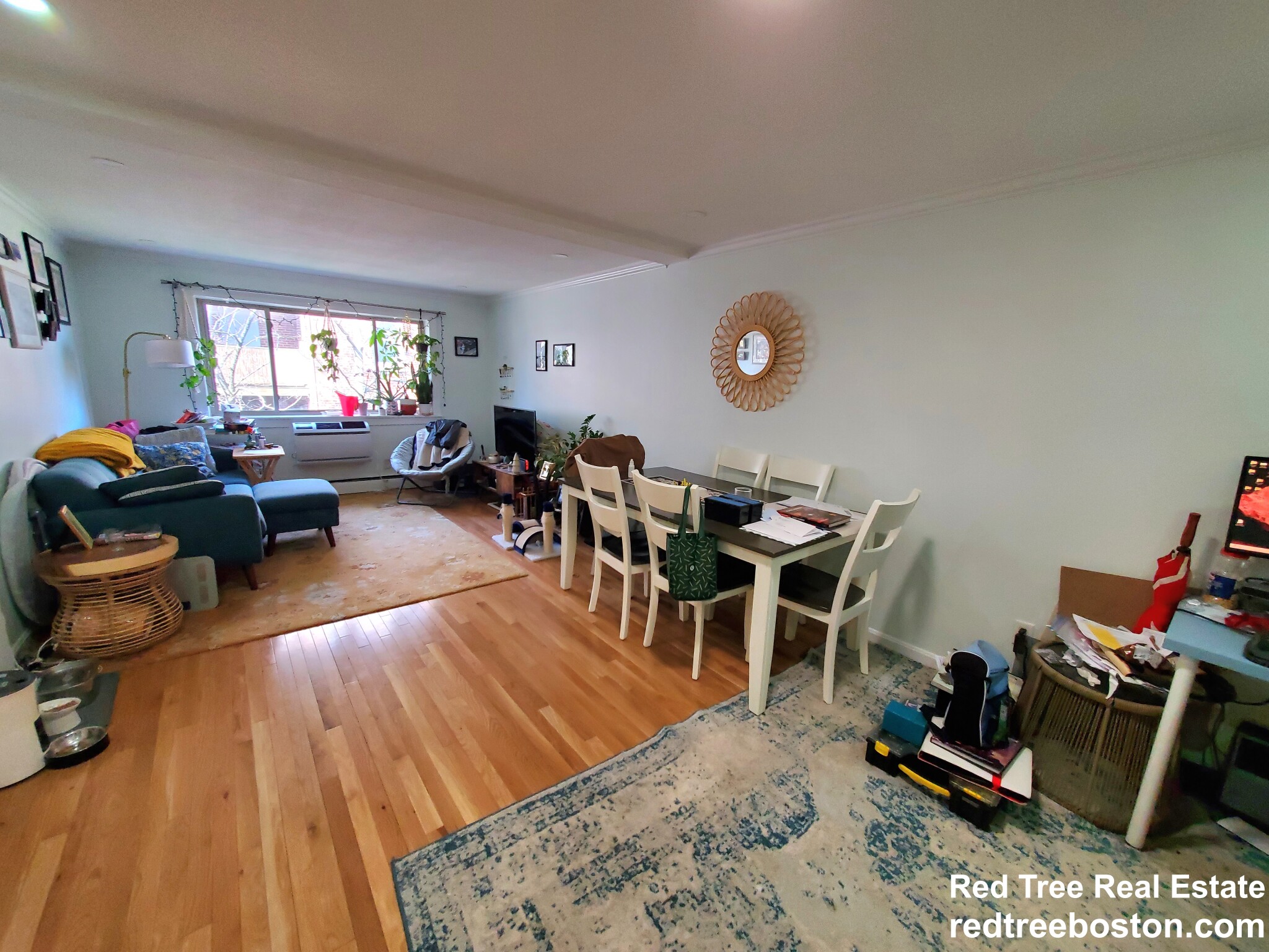 1 bed, 1 bath apartment for rent at 329 Harvard St Unit 27, Mid-Cambridge — photo 3 of 13