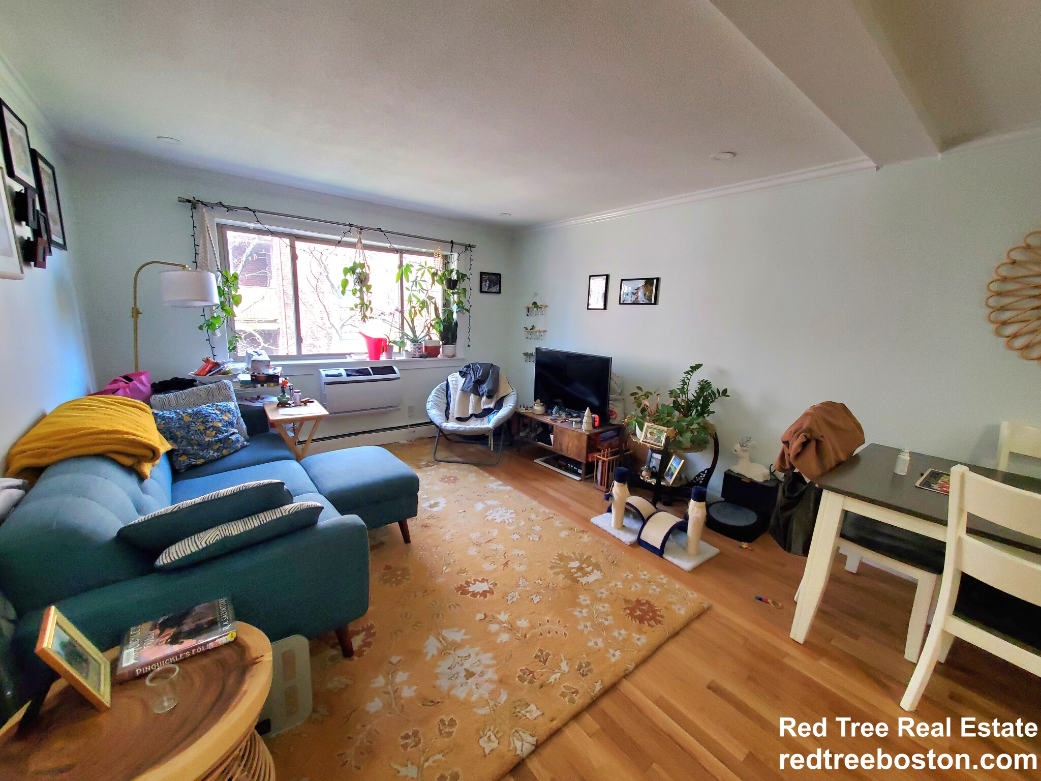 1 bed, 1 bath apartment for rent at 329 Harvard St Unit 27, Mid-Cambridge — photo 2 of 13