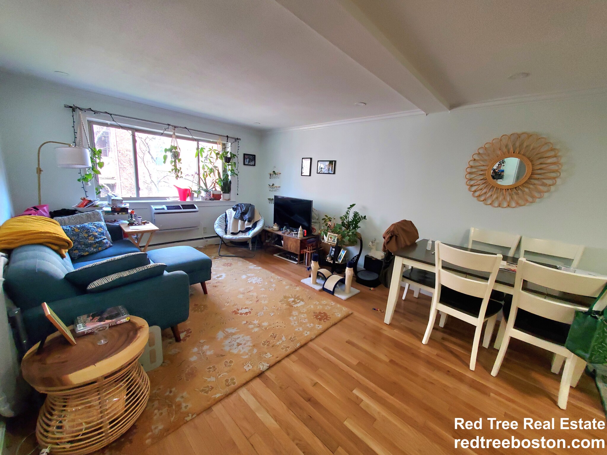1 bed, 1 bath apartment for rent at 329 Harvard St Unit 27, Mid-Cambridge
