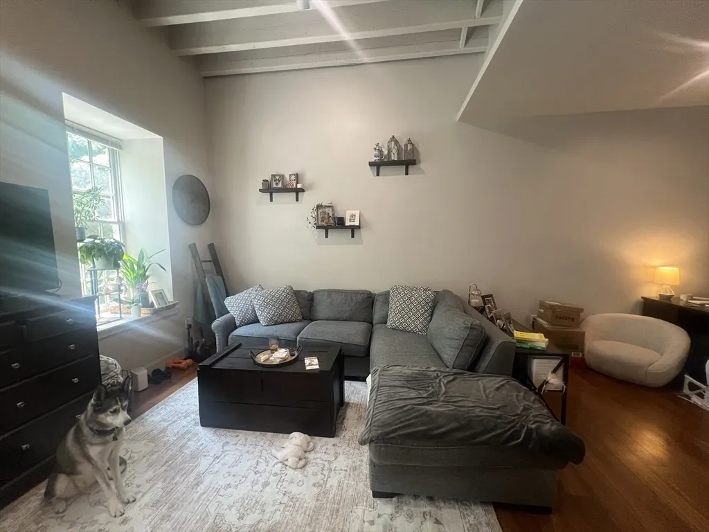 1 bed, 1 bath apartment for rent at 33 3rd Ave Unit 206, Charlestown — photo 12 of 26