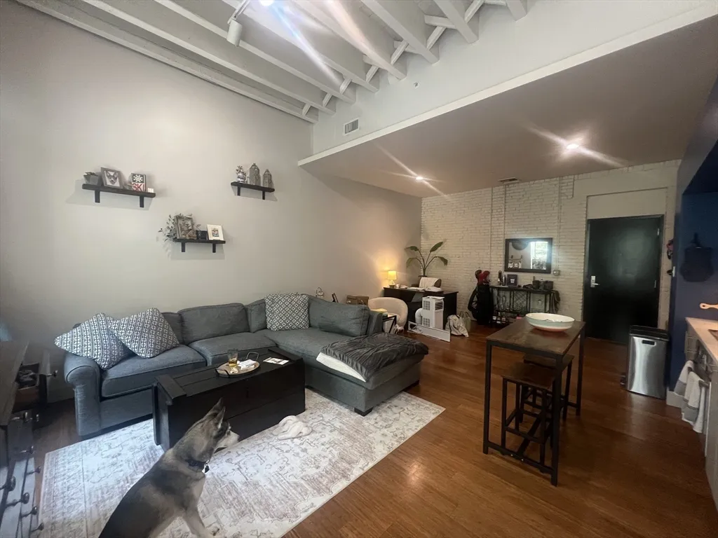 1 bed, 1 bath apartment for rent at 33 3rd Ave Unit 206, Charlestown — photo 8 of 26
