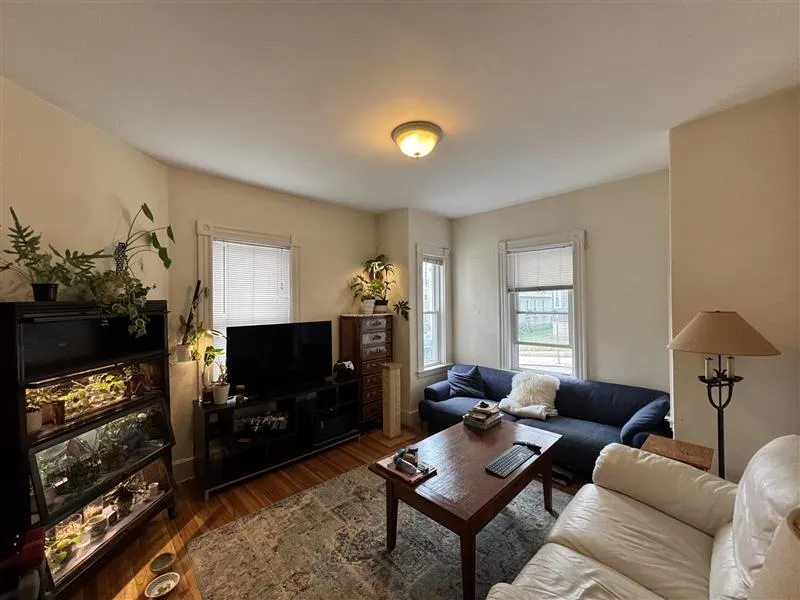 2 bed, 1 bath apartment for rent at 33 Belmont St Unit 1, Spring Hill — photo 1 of 14