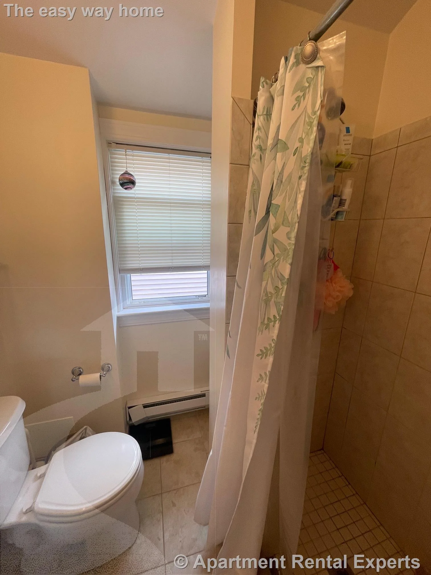 1 bed, 1 bath apartment for rent at 33 Belmont St Unit 3, Porter Square — photo 9 of 11