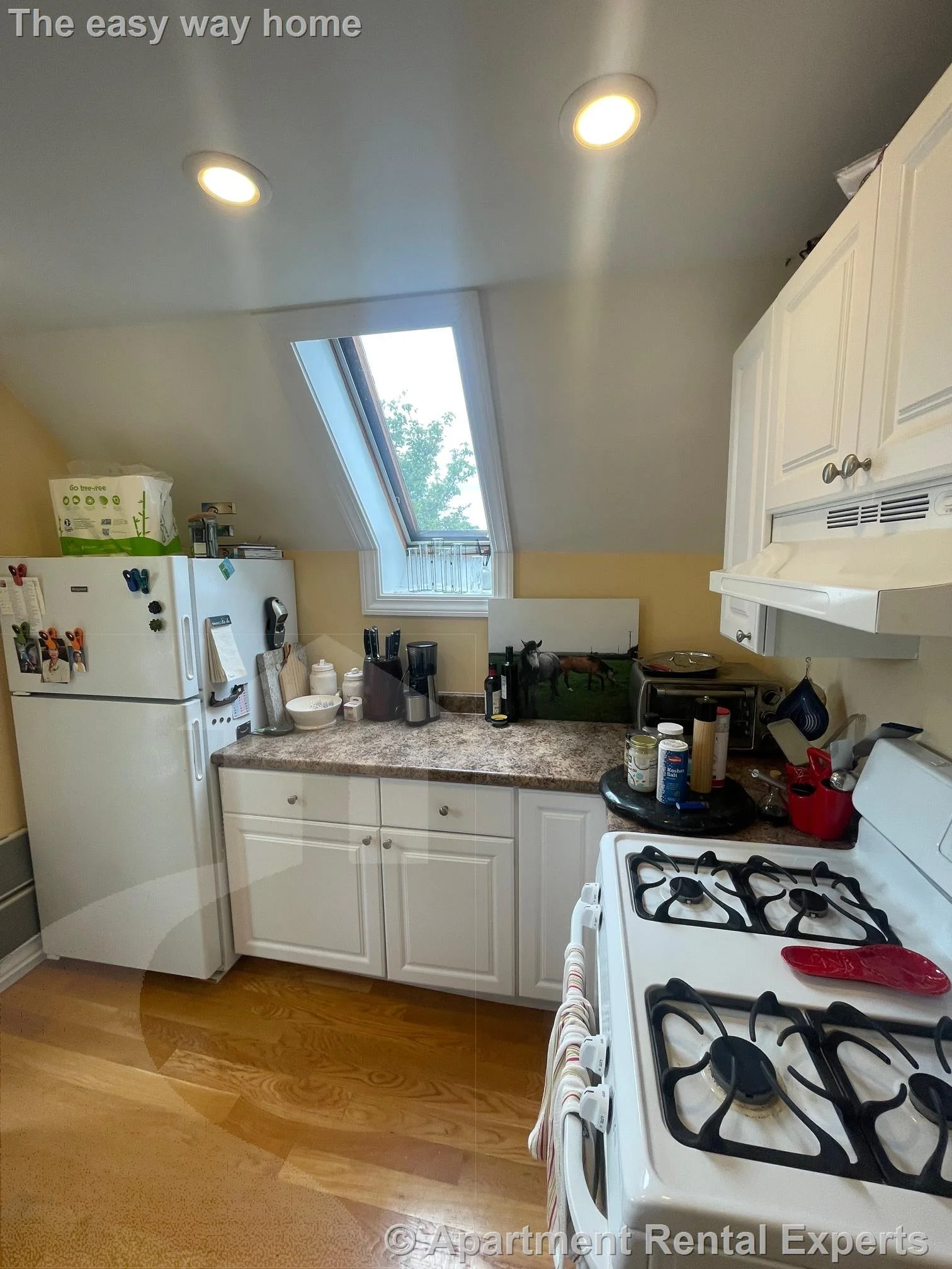 1 bed, 1 bath apartment for rent at 33 Belmont St Unit 3, Porter Square — photo 2 of 11