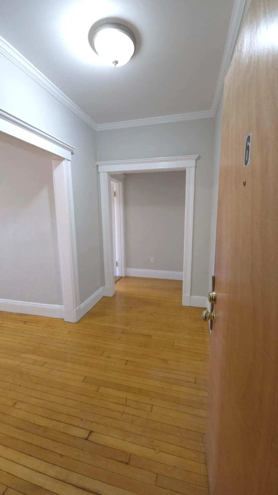 1 bed, 1 bath apartment for rent at 33 Highgate St Unit 6, Allston — photo 2 of 28