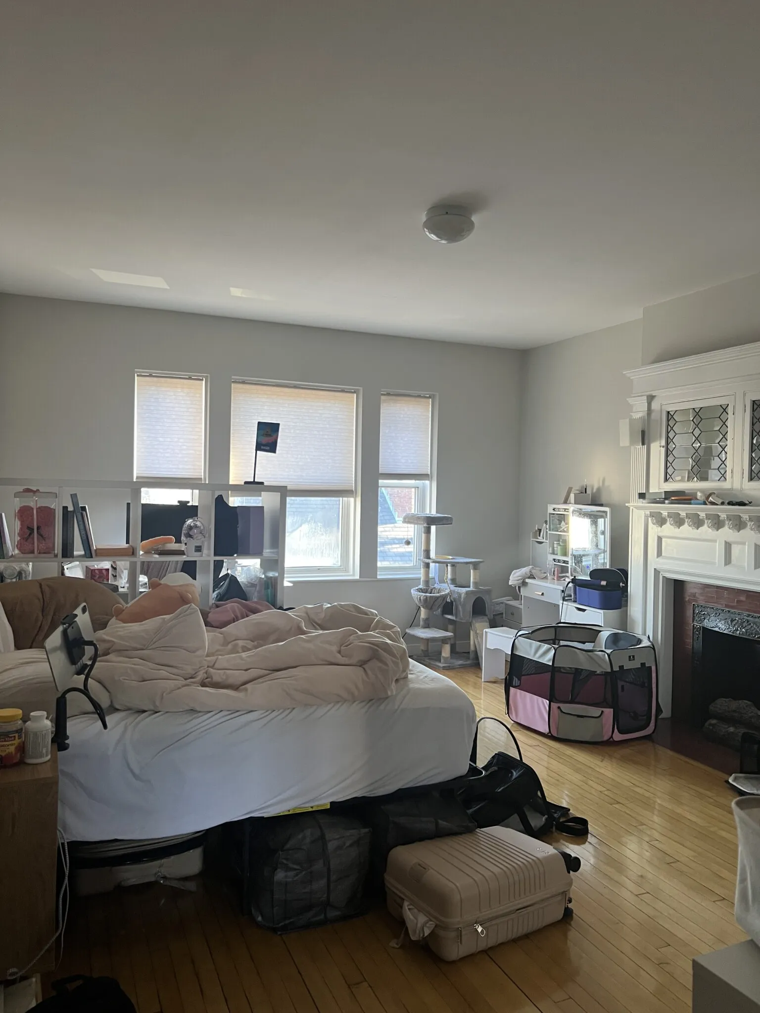 2 bed, 1 bath apartment for rent at 33 Highgate St Unit 7, Allston — photo 5 of 12