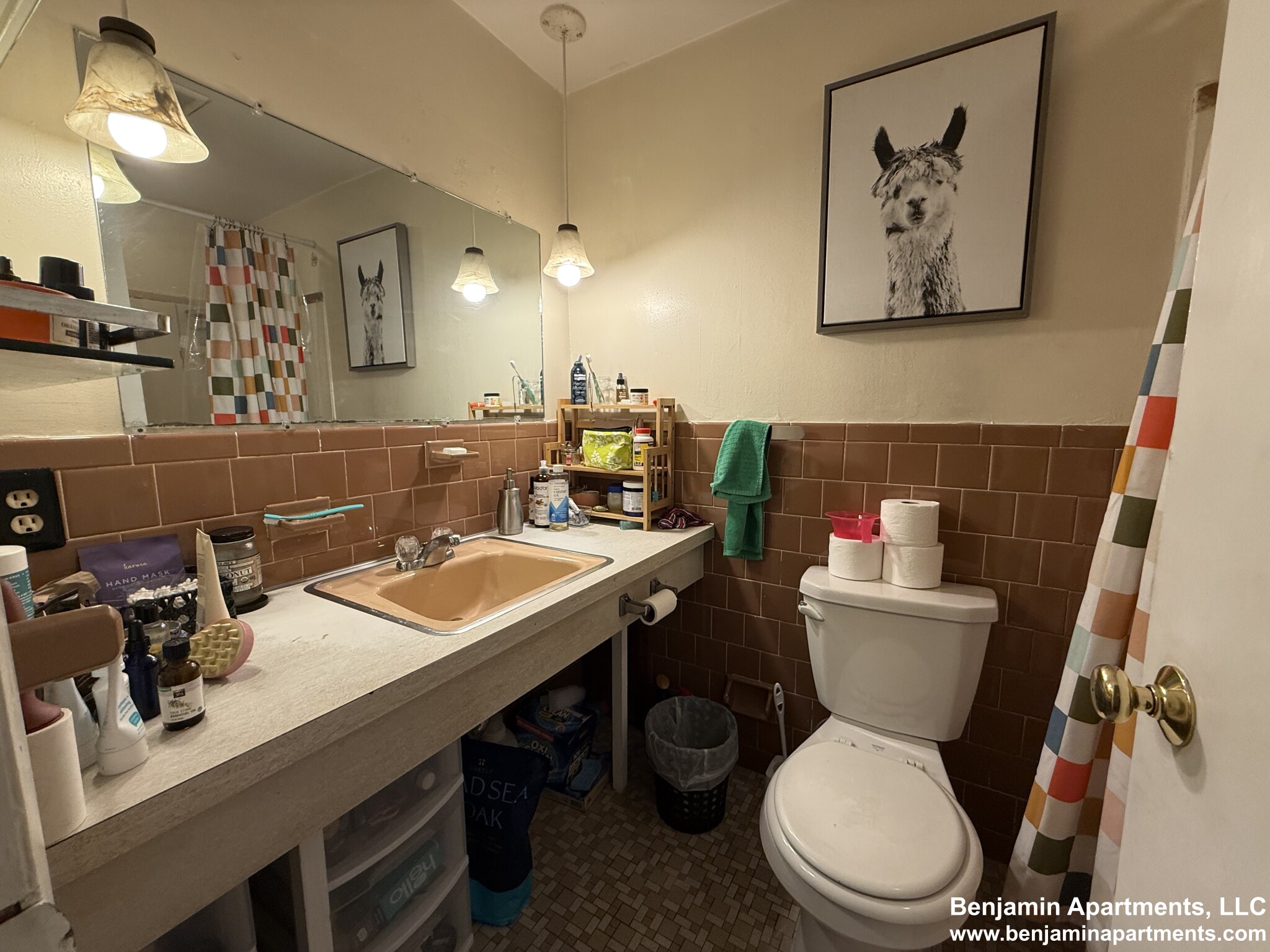 2 bed, 2 bath apartment for rent at 33 Lancaster Ter Unit 303F, Corey Hill — photo 5 of 15