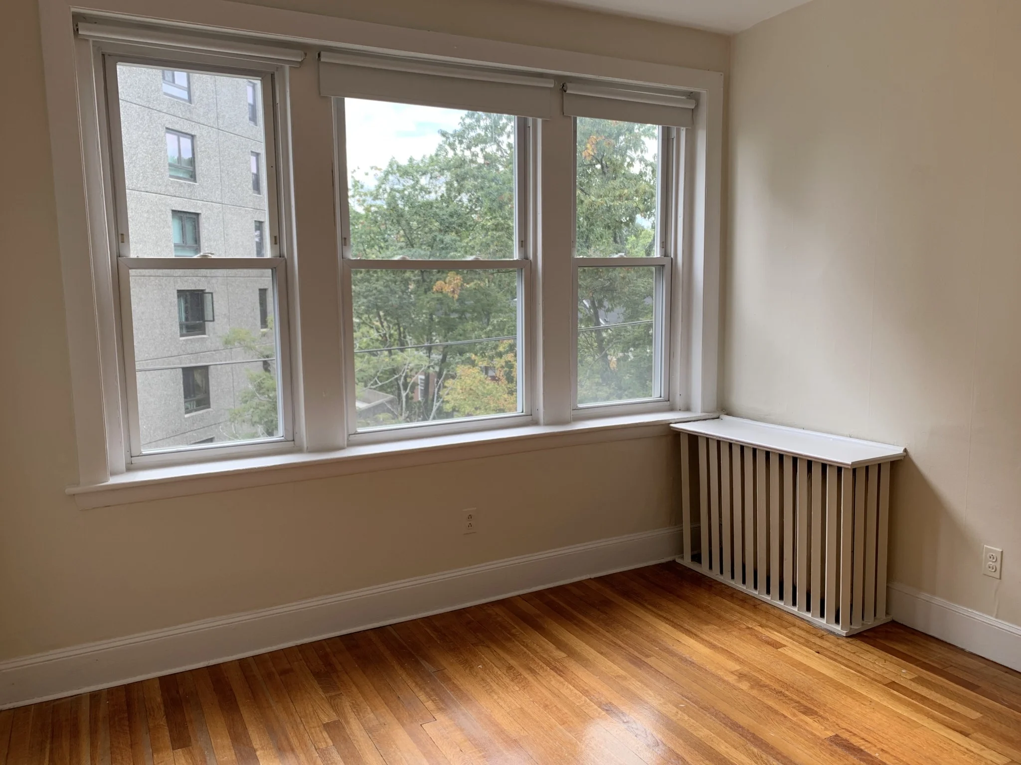 1 bed, 1 bath apartment for rent at 33 Lancaster Ter Unit 305, Corey Hill — photo 6 of 9