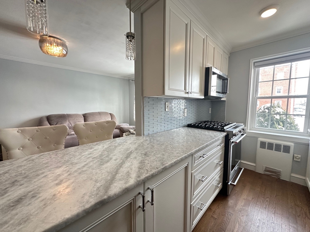 1 bed, 1 bath apartment for rent at 33 Lennon Ct Unit 31, South Boston — photo 3 of 12