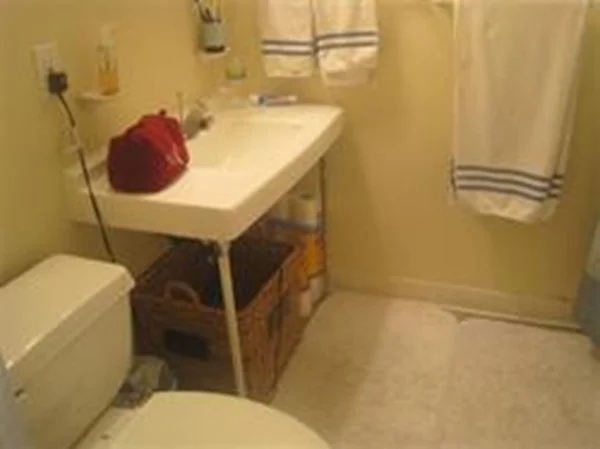 1 bed, 1 bath apartment for rent at 33 Pond Ave Unit 1001, Brookline — photo 6 of 14