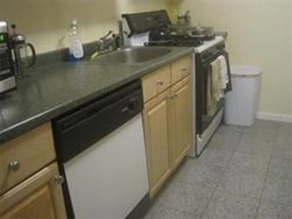 1 bed, 1 bath apartment for rent at 33 Pond Ave Unit 1001, Brookline — photo 4 of 14