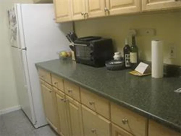 1 bed, 1 bath apartment for rent at 33 Pond Ave Unit 1001, Brookline — photo 5 of 14