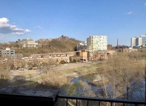 1 bed, 1 bath apartment for rent at 33 Pond Ave Unit 1007, Brookline Village — photo 10 of 22