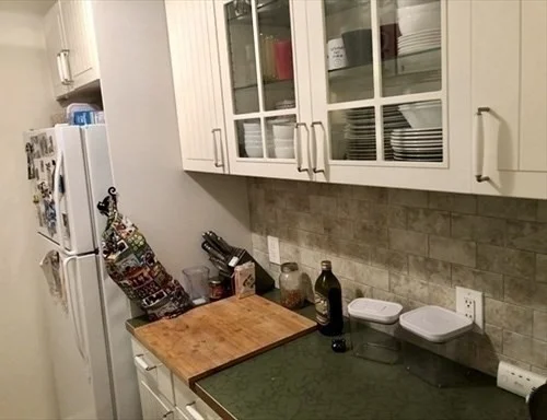 1 bed, 1 bath apartment for rent at 33 Pond Ave Unit 1007, Brookline Village — photo 5 of 22